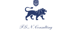 FGN Consulting